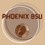 Bentley Black Student Union - @bentleyschoolbsu - Instagram