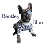 👑 Bentley Blue 👑 - @bentleyblue.01 - Instagram