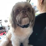 Bentley Blue - @bentleybluee - Instagram