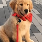 Bentley Blue - @bentleyblue0622 - Instagram