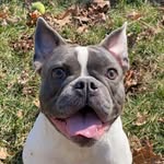 Bentley Blue - @itsbentleyblue - Instagram