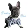 BentleyBlue.01 - @bentleyblue.01 - TikTok