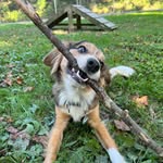 Hi, my name is Bentley Blue - @bentleyblueslife - Instagram