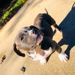 Bentley Brooks - @bentley.beee - Instagram