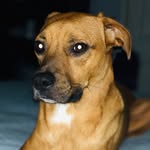 Bentley Brooks - @bentley_the_jackpit - Instagram