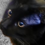 Bentley Brooks - @bentley31840 - Instagram