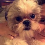 Ruger's Sweet Bentley Brooks - @bentley.brooks14 - Instagram