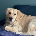 Bentley Carson - @bentley_c2197 - Instagram