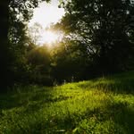 Carson bentley - @carson_bentley_ - Instagram