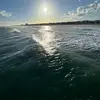 Ragnar and blue - @carsonbentley8 - TikTok