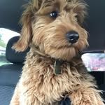 Bentley Edelman Collins - @bentley_eledman_collins - Instagram