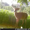 🎣 🦌 B Davis🎣🦌 - @bentleydavis49 - TikTok