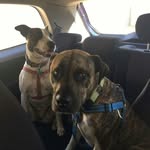 Bentley and Amber Davis - @bentleyandamberdavis - Instagram