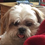 Bentley Davis - @bentley.davis - Instagram