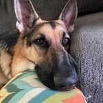 Bentley Davis - @bentleydavisgreene585 - Instagram