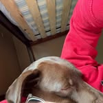 Bentley Davis - @bentley_davis14 - Instagram