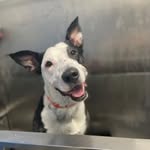 Bentley Davis - @bentleys_business - Instagram
