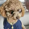 Bentley Davis (Mr.B) - @bentley.davis.mr - TikTok