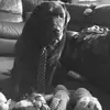 Bentley - @bentley.evans - TikTok