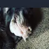 Bentley Evans622 - @evansb9567 - TikTok