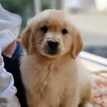 Bentley Evans - @bentleyevans2925 - Instagram