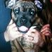 Bentley Evans - Facebook