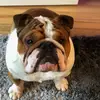 bentley evans - @bentboy_evs - TikTok