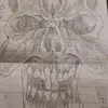 Bentley Evans - @bentley.evans2 - TikTok