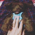 Bentley Ford - @bentley_ford04 - Instagram