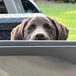 Bentley Ford the II - @bentley.ford_the_ii - Instagram