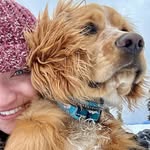 Bentley Feathebottom Fuller - @bentleyfeatherbottom - Instagram
