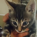 Bentley Fuller - @sweetbentley - Instagram
