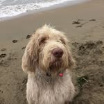Bentley Fuller - @bentleythespinone - Instagram