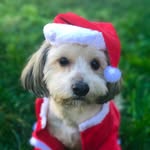 @bentleyrobinsonfuller - Instagram