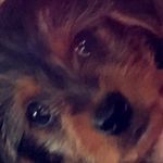 Pixie Bentley Griffiths - @pixiebentleygriffiths - Instagram