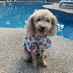 Bentley Howard - @bentley7259 - Instagram