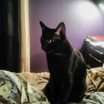 Howard Bentley - @howardbentley242 - Instagram