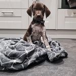 Bentley Jackson - @bentleyj.gsp - Instagram