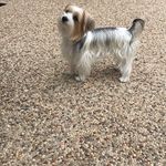 Bentley Jackson - @_bentley_jackson_ - Instagram