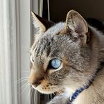 Bentley Jackson - @bentley_t_jackson - Instagram