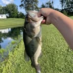 Bentley Jackson - Facebook