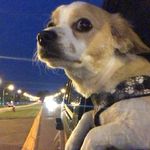 Bentley Johnson - @benny.and.the.jets23 - Instagram