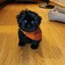 Bentley Johnson - Facebook