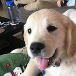 Bentley Johnson - @itsbentleydoe - Instagram