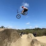 Bentley - @bentleykinggg - Instagram