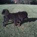 Bentley King - Facebook