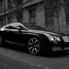 Bentleyking - @bentleyking777 - TikTok