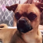 Bentley Lopez - @_bentley___ray_ - Instagram