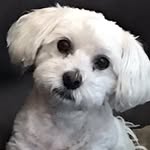 Bentley Lopez - @bentley.lopez - Instagram