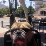 Bentley Marshall - @1bentleymarshall - Instagram